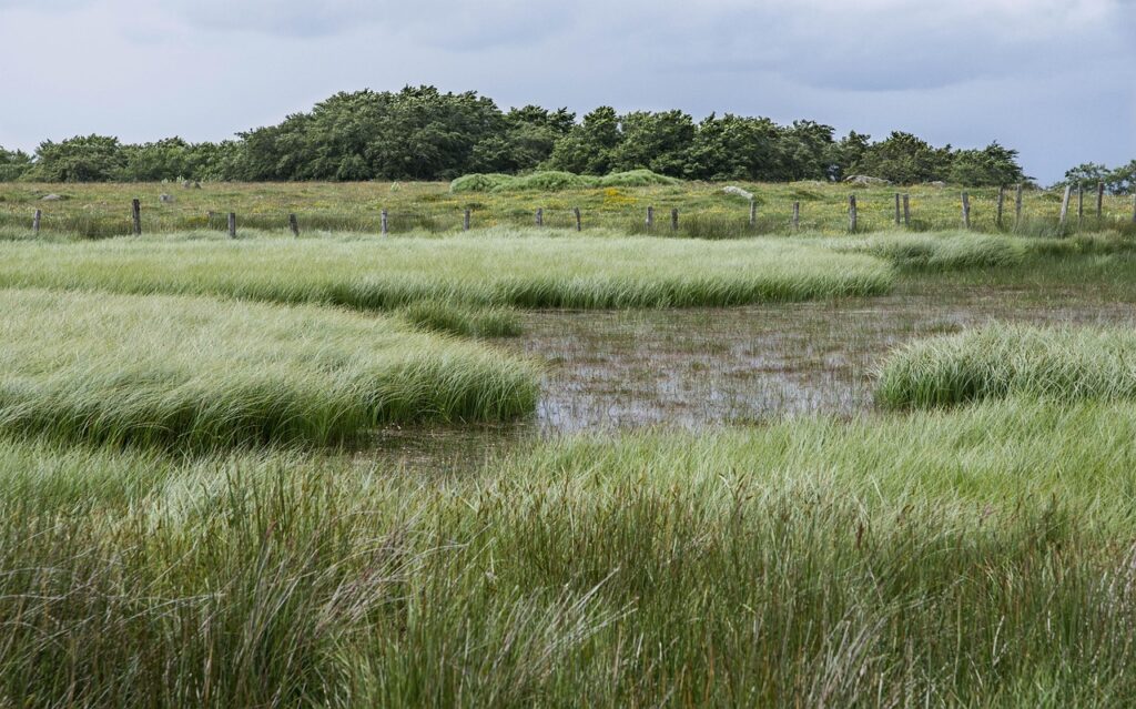 Gestion & entretien des étangs 1 aubrac 5311234 1280